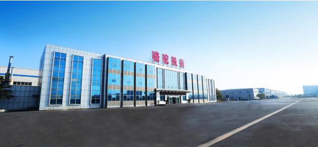 点击图片翻到下一页>> 2020中国民营企业500强揭晓 骆驼股份连续8年上榜