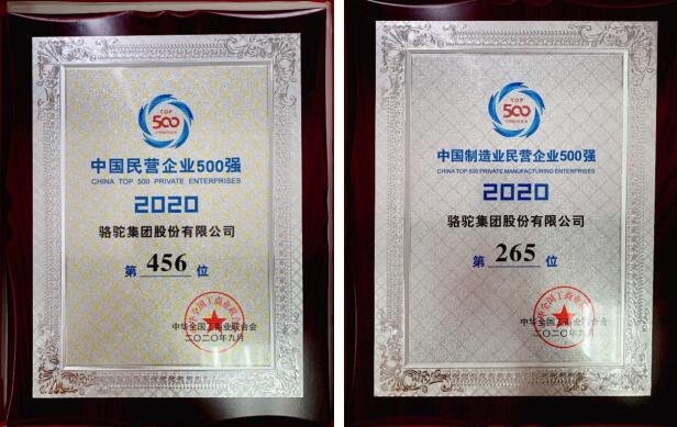 点击图片翻到下一页>> 2020中国民营企业500强揭晓 骆驼股份连续8年上榜